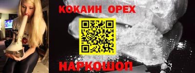 крисы Кингисепп