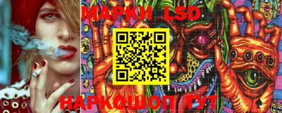 крисы Кингисепп