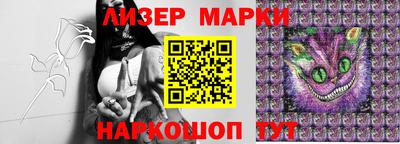 крисы Кингисепп