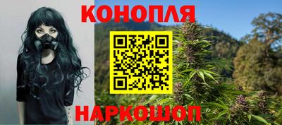 крисы Кингисепп