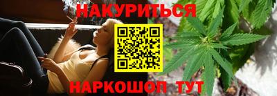 крисы Кингисепп