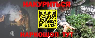 крисы Кингисепп