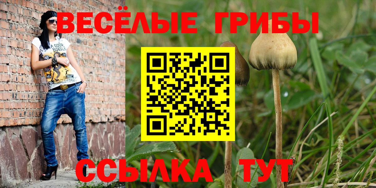 Тула  Галлюциногенные грибы прущие грибы  Вход с VPN 
