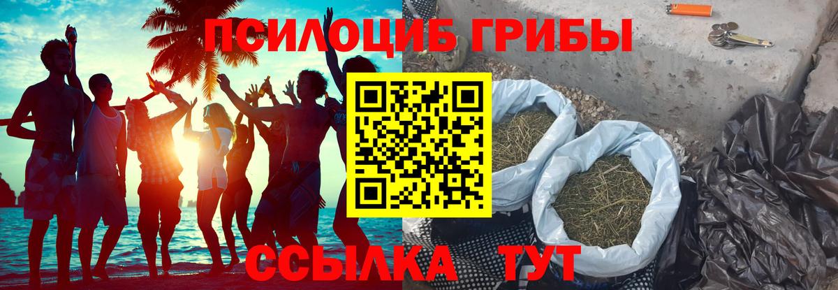 Галлюциногенные грибы Cubensis Тула